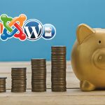 Hai poco Budget: Quanto Spendere per la Piattaforma Ecommerce?