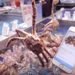 Mobile Ecommerce: Il futuro dei pagamenti è wallet-less